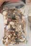 比克熊仓鼠粮金丝熊主粮食物口粮自配饲料宠物粮食主食面包虫干1200ml*3 实拍图