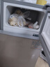 志高（CHIGO）小冰箱迷你小型家用冷藏冷冻两用宿舍出租房用双门办公室电冰箱节能省电 【店长推荐】48L银色【一级能效丨全国联保】 实拍图