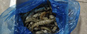 禧美海产鲜冻黑虎虾净重2斤装 大号40-50只/kg规格 单冻大虾 海鲜烧烤轻食 实拍图