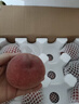 京鲜生山西脆蜜桃 净重4.5斤 单果150g+ 生鲜水果 源头直发包邮 实拍图