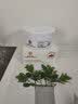 同仁堂眼膜贴眼袋提拉紧致淡化细纹抗皱泪沟黑眼圈眼袋贴60片 实拍图