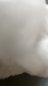漫花蓝茶花抽纸巾4层360张*24包整箱纸抽家用餐巾纸擦手卫生纸实惠装 实拍图