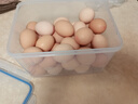 安买爱格食品级塑料保鲜盒5L大容量 微波炉饭盒餐盒可进洗碗机AM2508 实拍图