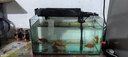 金利佳（Jeneca）鱼缸过滤器三合一吸水泵滤盒水族箱上滤上置循环过滤槽壁挂增氧 【大号黑色五件套】适长55-82cm 实拍图