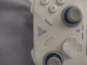 飞智冰原狼4多模版无线游戏手柄 类xbox 力调节摇杆双切扳机 switch电脑PC手机steam体感NS 仁王3 实拍图