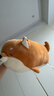 名创优品（MINISO）柴犬系列毛绒公仔趴姿玩具娃娃抱枕睡觉卧室办公室午睡枕生日礼物 实拍图