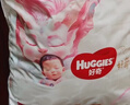 好奇（Huggies）皇家小龙裤纸尿裤M92片(6-11kg)尿不湿【柔吸防漏王】 实拍图