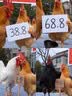 瓦力【电竞钢化膜】适用努比亚红魔11spro钢化膜高清全胶11Spro+手机贴膜防摔刮抗指纹保护-带秒贴盒 实拍图