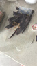 科尔沁超干风干牛肉干混合口味300g 袋装净重休闲零食肉干肉脯内蒙特产 实拍图