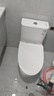 九牧（JOMOO）【悠享家卫浴两件套】马桶11173 400坑距+花洒36671灰 实拍图