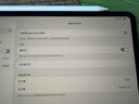 Apple/苹果 Pencil Pro 磁吸触控笔手写笔苹果笔电容笔书写绘画iPad笔 适用于iPad Pro/Air/mini机型 实拍图