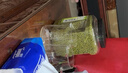 李小谷 有机绿豆5斤罐装(打豆浆生豆芽绿豆沙绿豆汤绿豆糕料)2.5kg罐装 实拍图