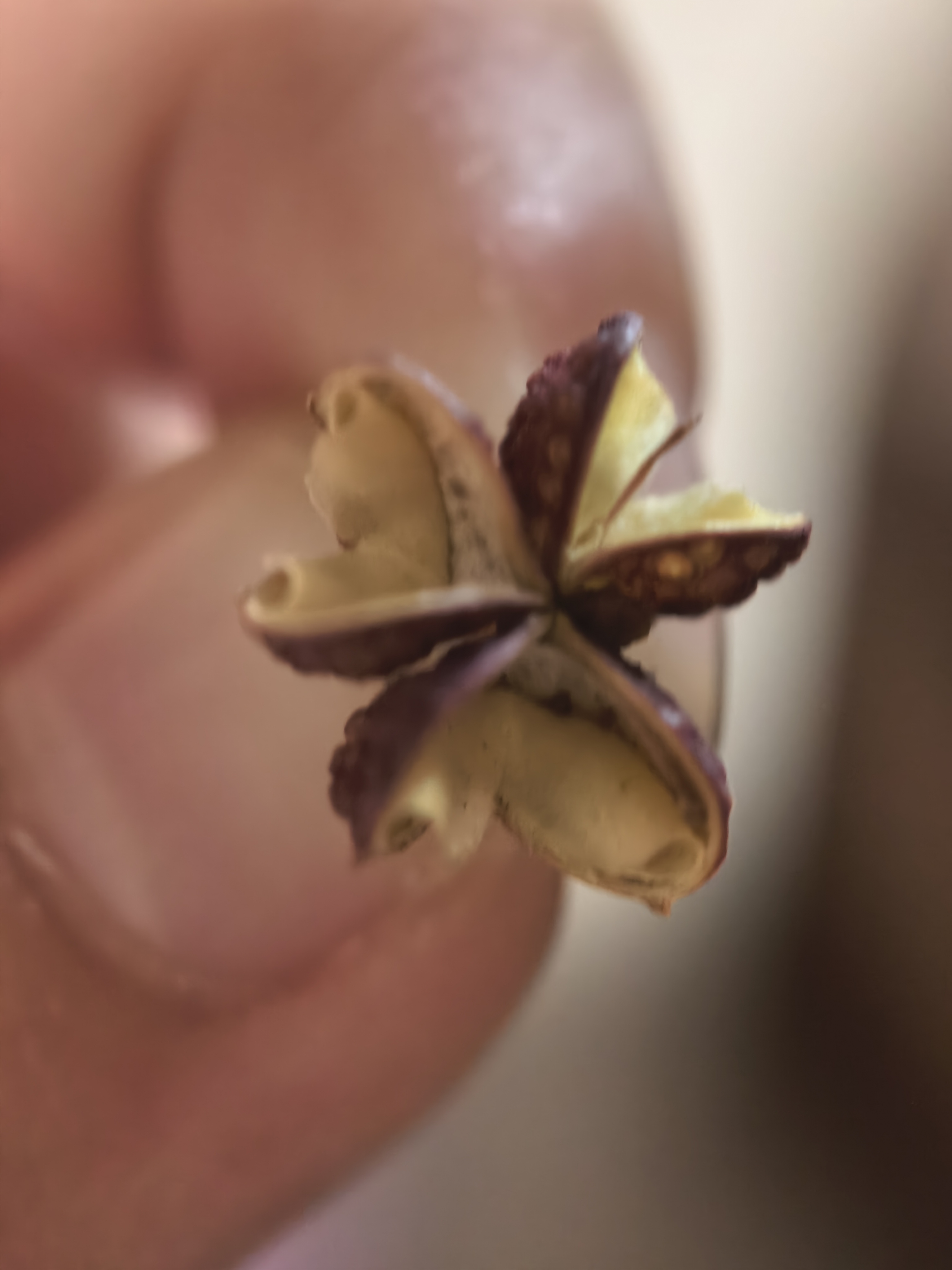 贝亲（Pigeon）奶瓶清洗剂婴儿专用奶嘴玩具果蔬清洗剂清洁剂洗洁精 700ml MA27 实拍图