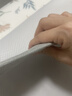 半弦月【热销爆款】爽爽冰丝凉席子可机洗床笠床单学生宿舍1.5mx1.8x2米 雪花灰丨冰丝凉感丨可机洗加厚款 150cm*200cm 丨床单款丨贈枕套*2 实拍图