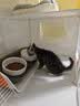 蔻丝可调节防漏食陶瓷猫碗护颈双碗固定架防打翻宠物猫狗食盆水碗 实拍图