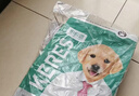 凯锐思幼犬狗粮 中大型小型犬4-12个月边牧金毛泰迪比熊博美柯基 6kg 实拍图
