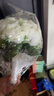 餐将军 新娘手捧花结婚订婚求婚领证婚礼婚纱摄影拍照道具闺蜜伴手礼物 实拍图