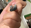 施华洛世奇（SWAROVSKI）【品牌直供】渐变天鹅项链女 女士项链送女友礼物 5614103 实拍图