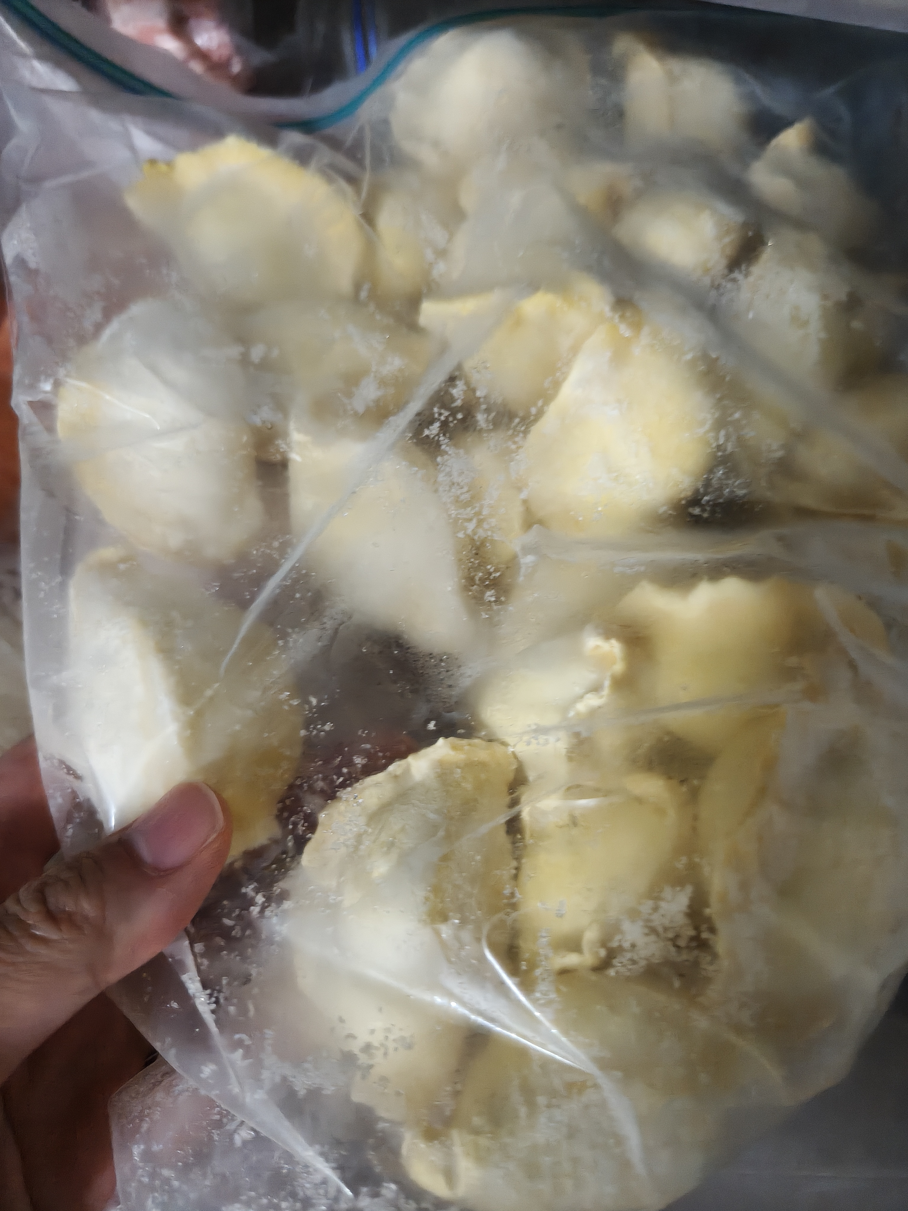 船歌鱼水饺高蛋白黄花鱼虾水饺880g40只儿童早餐生鲜速食速冻饺子鲜鱼汤提鲜 实拍图