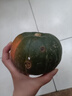 京鲜生 山东贝贝南瓜 净重3斤 单果300g+粉糯蔬菜辅食源头直发 实拍图