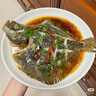 鲜活多宝鱼450-550g/条 实拍图
