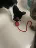 HELLOJOY猫咪玩具自嗨解闷神器智能电动逗猫球自动逗猫棒幼猫遛猫消耗体力 实拍图