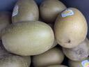 佳沛（zespri）新西兰阳光金奇异果巨大果22粒原箱单果146-175g 猕猴桃水果礼盒 实拍图