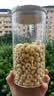 家乐氏（Kellogg）进口谷维滋175g儿童麦片早餐零食营养代餐速食即食食品中秋礼品 实拍图
