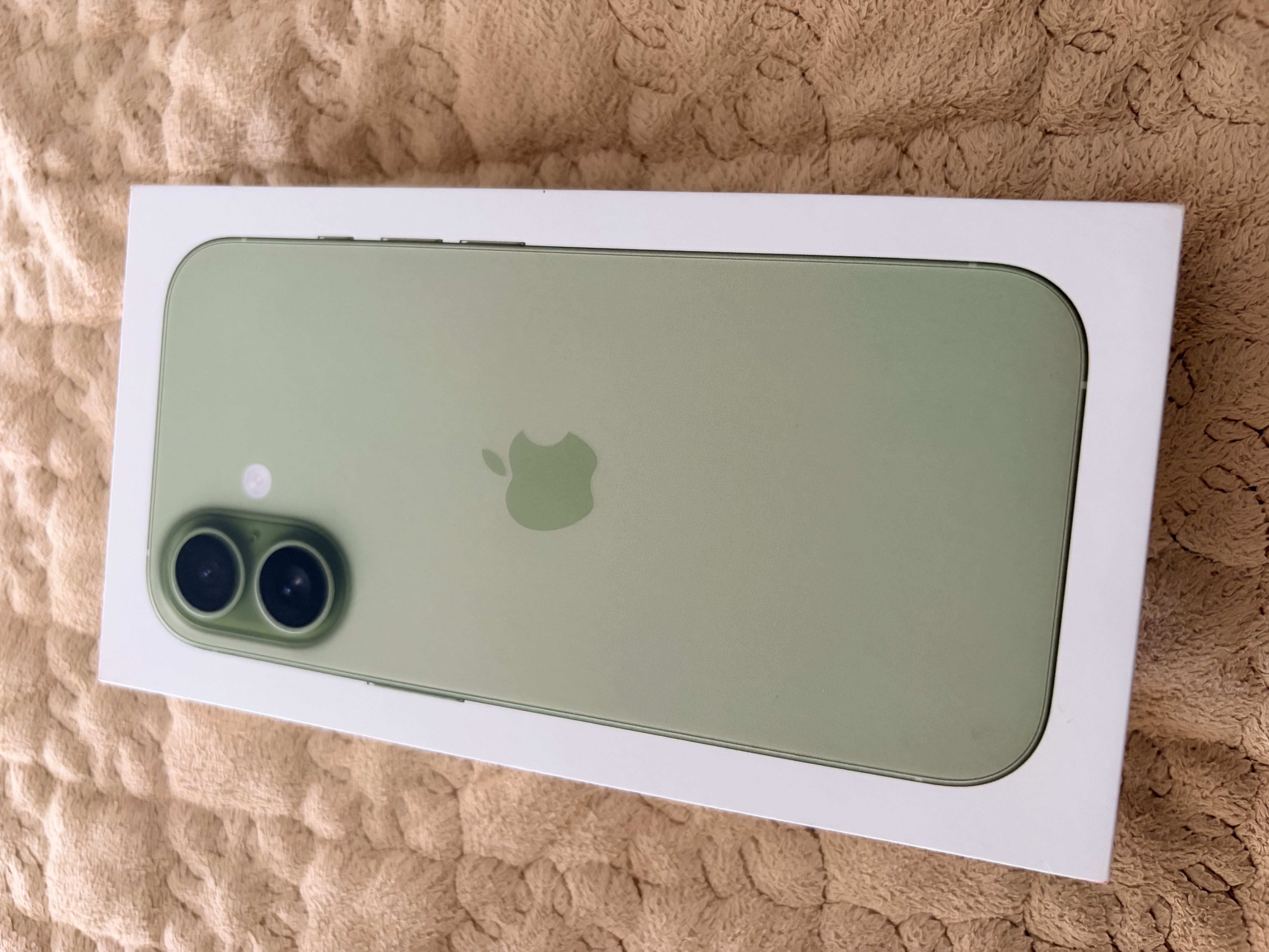Apple/苹果 iPhone 17 256GB 鼠尾草绿色 支持移动联通电信5G 双卡双待手机 实拍图