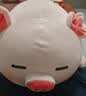 名创优品（MINISO）小猪B-BO弹力超柔趴姿公仔毛绒玩偶儿童玩具抱枕靠枕生日礼物女 实拍图