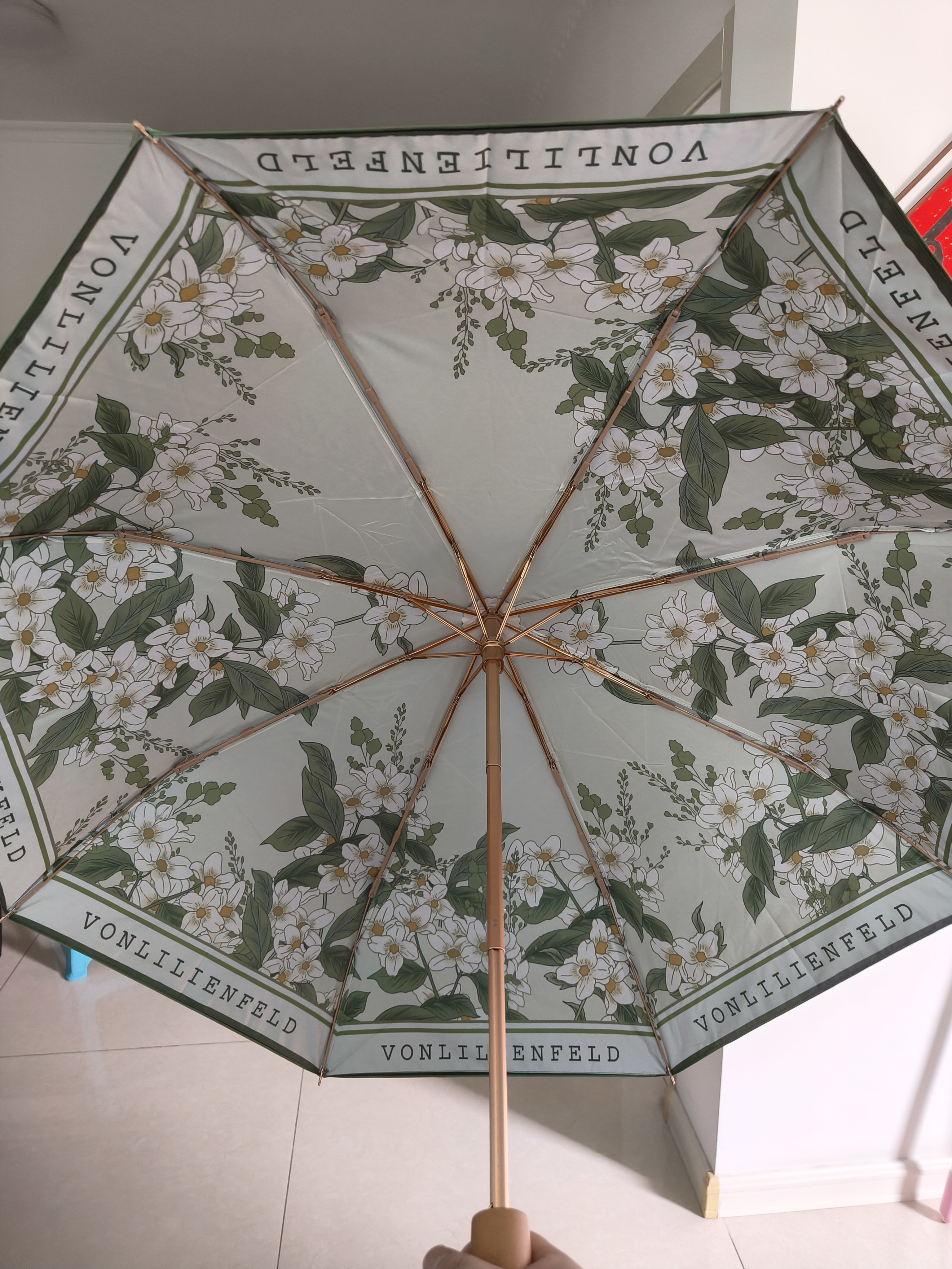 VONLILIENFELD费乐德防紫外线遮阳伞三折双层森系小清新太阳伞防晒伞upf50雨伞 实拍图