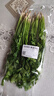 带根香菜100g 实拍图