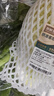 【安心菜】供港基地三宝白菜约650g(大娃娃菜) 实拍图