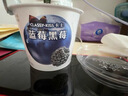 卡士（CLASSY.KISS）【全程冷链】蓝莓黑莓果粒鲜酪乳100g*6杯 低温酸奶 风味发酵乳 实拍图