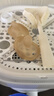 世喜安抚奶嘴6个月以上防龅牙胀气1-3岁夜用扁头超软仿母乳超轻air款 实拍图