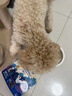 LEGENDSANDY蓝氏烘焙狗粮SSR中小型犬成犬幼犬通用全价犬粮大鹅巴西莓500g 实拍图