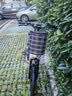 永久（FOREVER）20寸电助力自行车山地车350W电机超长续航7速变速可拆卸锂电池 F78Pro-幻彩白-20寸/速度传感 助力续航50-60KM 实拍图
