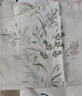 洁丽雅（Grace）7A抗菌100%纯棉四件套新疆棉床上用品床单被套150*200cm1.2/1.5米床 实拍图
