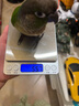 京严打粉机超细研磨机家用中药粉碎机小型打碎五谷杂粮料理胡椒磨粉机 豪华款【12叶精钢刀头*2】研磨机磨粉 多功能干湿两用磨粉机 实拍图