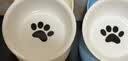 憨憨乐园猫碗陶瓷猫粮双碗斜口狗碗狗盆狗粮宠物幼猫咪吃饭食盆喝水喂食 实拍图
