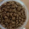 皇家猫粮 室内成猫粮 I27 通用粮 12月以上 2KG 实拍图