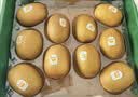 佳沛（zespri）新西兰阳光金奇异果10粒巨大果单果146-175g 猕猴桃水果礼盒 实拍图