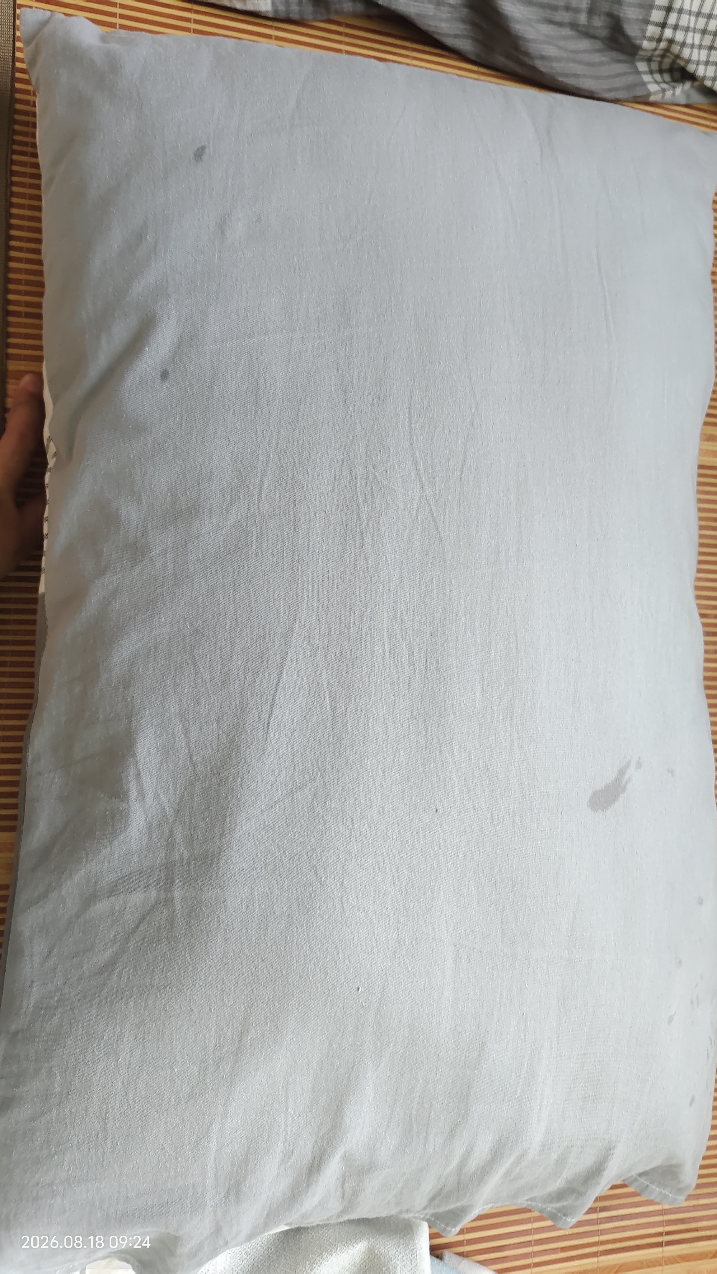 金号全棉枕套一对纯棉抗菌单人枕头套学生宿舍枕芯套 雅格 48*74cm*2 实拍图