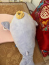 babycare婴儿玩偶安抚枕多功能哄睡枕侧睡靠背档枕沃伊鲸鱼45*23*15-0-1岁 实拍图
