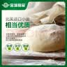 金城食品叉烧包420g 12个 早餐速食 广式早茶点心 鲜肉包速冻面点方便食品 实拍图