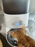 霍曼（Homerun）Real智能自动喂食器猫粮定时猫猫咪自动投食机PF20（不锈钢碗） 实拍图