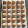 京鲜生 无抗保洁鲜鸡蛋30枚/盒 健康轻食 礼盒送礼 1.5kg/盒 源头直发 实拍图