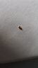 御邪黄金转运珠足金古法手链路路通金珠散珠手链脚链520春节礼物 3mm[古法]0.03g标准版 实拍图