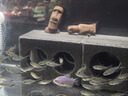 派乐特 鱼缸过滤材料水族火山石陶瓷环细菌球器材用品十二合一滤材1kg 实拍图