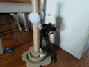 欢宠网猫抓柱猫抓板猫爬架猫玩具猫咪立式剑麻自嗨解闷神器猫猫小猫幼猫 实拍图